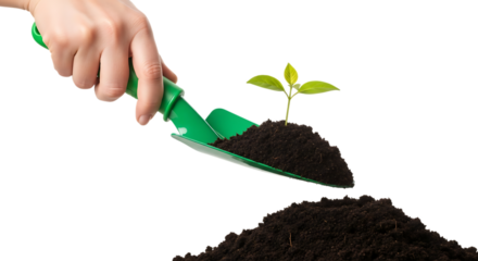 Hand holding trowel with soil and small plant isolated on transparent background