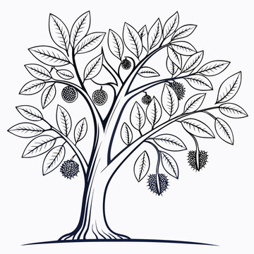 ramontchi tree vector