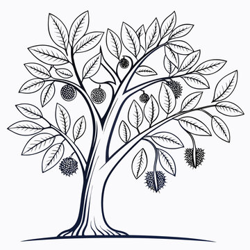 ramontchi tree vector