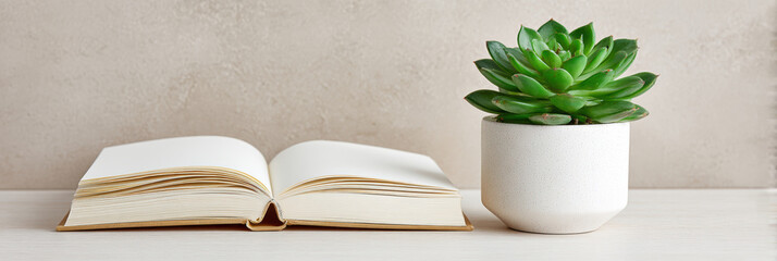 Calm still life with an open book and green succulent plant for reading and education. minimalist concept about knowledge and growth with plenty of copy space on background