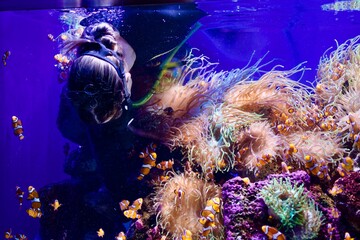 coral reef and fishes © Nicolae