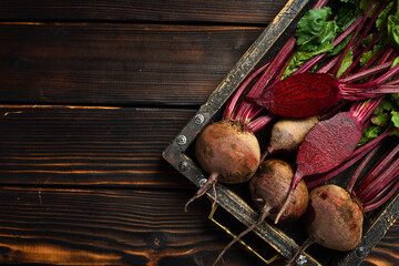Tray with fresh farm beets. Top view. Food concept.