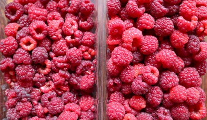 Plastic trays with fresh ripe raspberries, top view, close-up, harvesting and selling organic raspberries in open containers, garden raspberries as a red healthy fruit dessert
