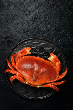 Seafood dish, Boiled Serrated mud crab. Top view. Creative photo. Free space for text.