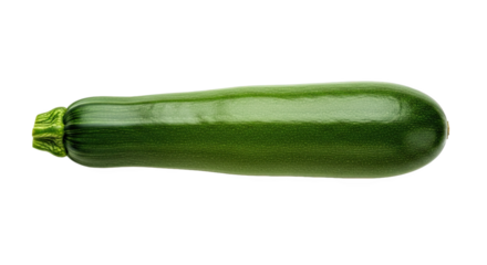 Whole zucchini with smooth glossy green skin and light striations—horizontally oriented with ridged stem, ideal for culinary or botanical reference
