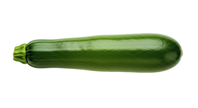 Whole zucchini with smooth glossy green skin and light striations—horizontally oriented with ridged stem, ideal for culinary or botanical reference