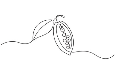 Continuous one line drawing of cacao beans on a branch, isolated on transparent background.