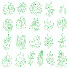 Eco-Natural Line Art Clipart, Botanical & Nature Set