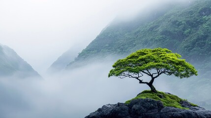 A vibrant green tree stands alone on a moss-covered rock, overlooking a misty valley with lush, green mountains in the background. The scene is serene and atmos