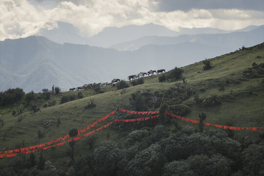 Aerial view of bright orange prayer flags fluttering against the backdrop of rolling green hills and distant hazy mountains, Haa, Bhutan.