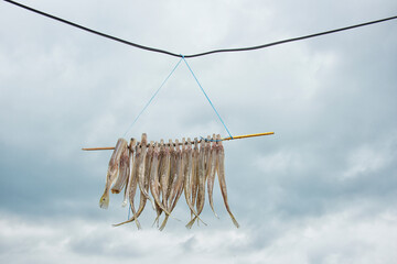 Dried Fish Hanging Under a Cloudy Sky