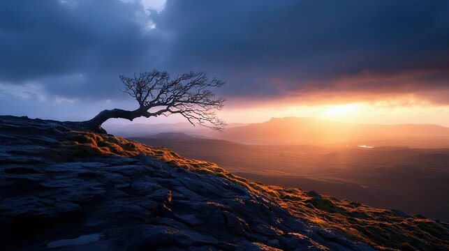 A solitary, bare tree clings to a rugged, rocky cliff edge, overlooking a vast valley bathed in the warm glow of a dramatic sunset. The sky is filled with dark,