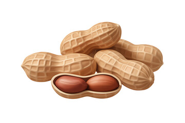 Realistic Peanut Illustration Whole and Split Peanuts on Transparent Background