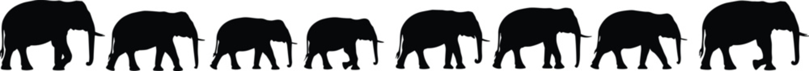 Silhouette of elephants walking in line, wildlife family, nature conservation, safari animals, herd movement, majestic African elephants illustration
