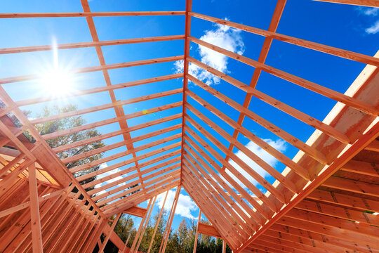 New wooden beams are being installed on rafters to installed house under construction site