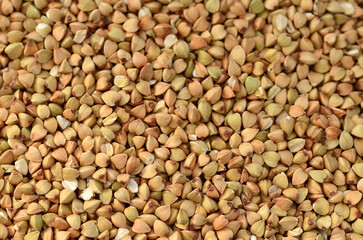 Close-up of dried buckwheat grains