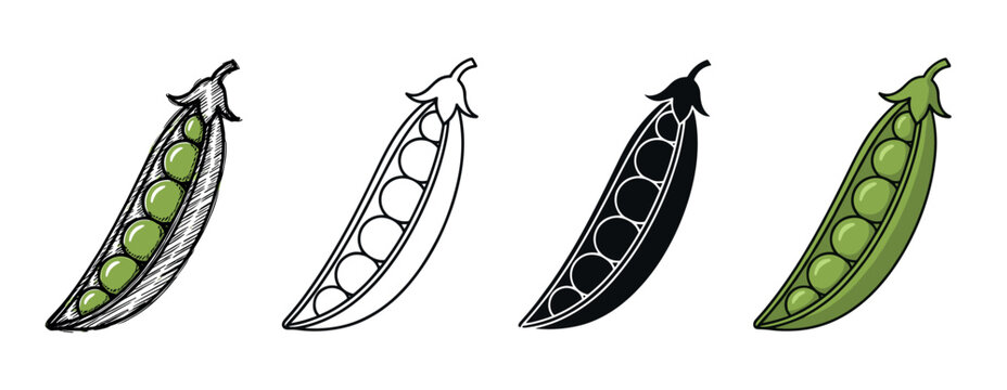Set of four green pea pod illustrations in various graphic styles, including a hand-drawn sketch, minimalist line art, a solid black silhouette, and a flat color cartoon