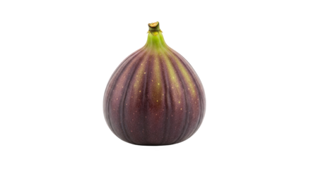 Single ripe fig with teardrop shape, smooth skin, and gradient from deep purple to green—fresh, detailed, and ideal for culinary or botanical reference
