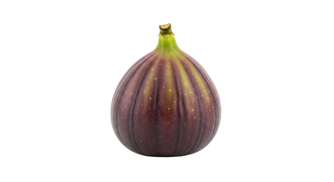 Single ripe fig with teardrop shape, smooth skin, and gradient from deep purple to green—fresh, detailed, and ideal for culinary or botanical reference