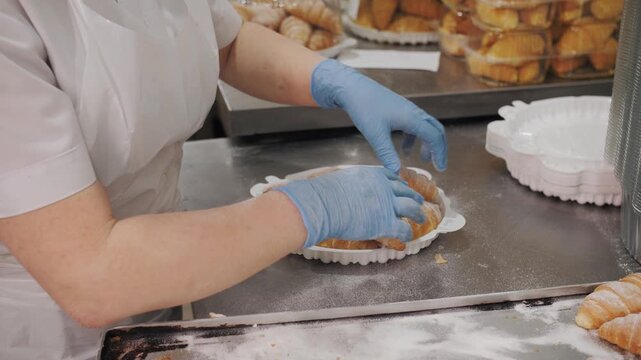 Baker Wearing Blue Gloves Arranging Croissants On Tray.