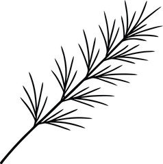 Black line art pine branch with needles on background © Abdul