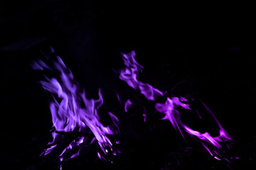 Vibrant Purple Flames Dancing in Dark Background at Night