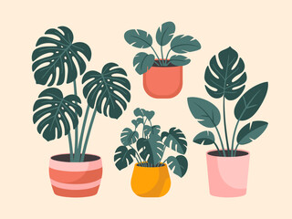 Vibrant Indoor Plant Collection A Cheerful Gathering of Potted Greenery Bringing Life and Color to Any Space