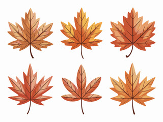 Autumnal Maple Leaf Collection Beautiful Seasonal Leaves Depicted in Warm Tones Decorative Fall Elements Botanical Illustration Vibrant Thanksgiving Designs