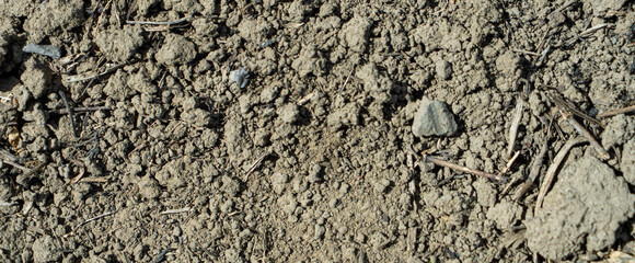 Close-up of a gray-black lava texture on the ground. Porous, cracked, and stony, perfect as a stock texture or photo background. Impression of molten rock.