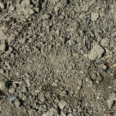 Close-up of a gray-black lava texture on the ground. Porous, cracked, and stony, perfect as a stock texture or photo background. Impression of molten rock.