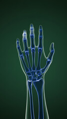 A futuristic x-ray of the human hand with a glowing outline emphasizing the skeletal structure, ideal for projects related to science, technology, and medical education.