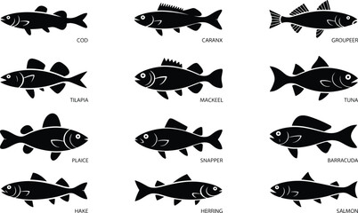 Fish silhouette vector set, commercial seafood collection, black marine life icons, salmon tuna cod designs isolated on white background.