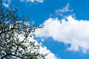 sky is blue and clear with no clouds. The sky is very bright and the sun is shining