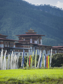 Aerial view of the majestic Punakha Dzong, a fortress of white walls and golden roofs, stands tall against a backdrop of verdant hills, Punakha, Punakha, Bhutan.