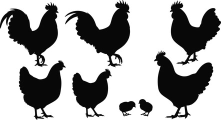 Black Silhouette Vector Set of Farm Chickens, Roosters, and Chicks, Illustrating Domestic Poultry in Various Poses for Farming, Agriculture, and Animal Design Projects.
