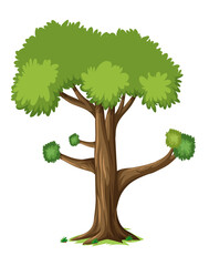 Isolated cartoon tree with green leaves design