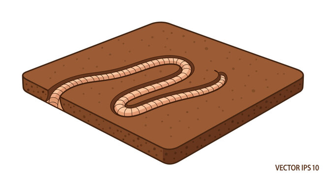 A vector illustration of a snake curled on a brown square platform with a rope texture, set against a white background in a flat lay style with warm tones.