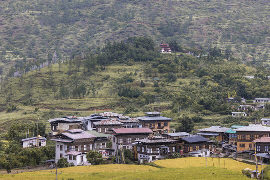 View of traditional Bhutanese houses nestled amidst rolling green hills under a soft, diffused light, painting a serene and timeless scene, Sopsokha, Punakha, Bhutan.