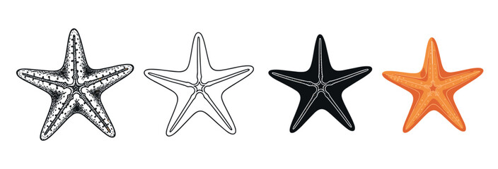 Four starfish vector icons presented in a collection of different graphic styles, including detailed sketch, simple line art, solid black silhouette, and a flat orange color version