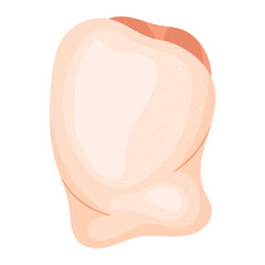 Vector illustration of a fresh raw chicken thigh