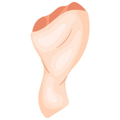 Vector illustration of a fresh raw chicken drumstick
