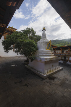 View of a white stupa nestled beside a lush green tree under a bright sky with light clouds, a serene sight in Punakha, Punakha, Bhutan.