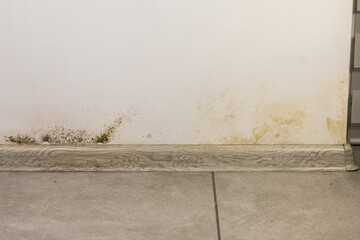 Black mold fungus growing on the wall under baseboard. Dampness problem concept. Condensation at home.