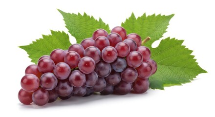 Fototapeta premium purple grape, isolated on white background, clipping path, full depth of field