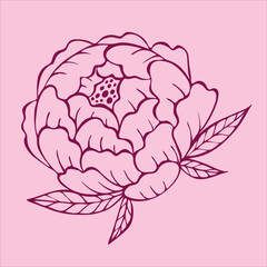 Charming doodle-style pink peony flowers, beautifully illustrated on a gentle light pink background.