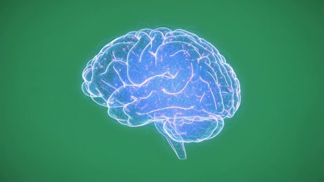 Mind's Eye: A detailed visualization of the human brain, glowing against a green backdrop, symbolizing the core of human intellect and cognitive functions.