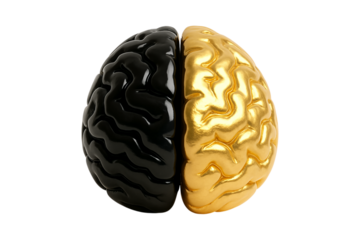 Brain. Duality. Logic and Creativity. An isolated 3D brain split between black and gold as a PNG clip art on a transparent background for concepts of logic versus creativity or duality of the mind.