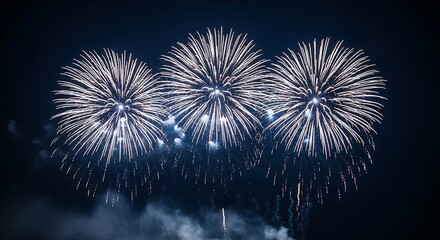 Spectacular fireworks display illuminates the night sky with vibrant bursts of light creating a mesmerizing and celebratory atmosphere perfect for capturing