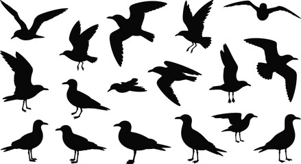 Silhouettes of 16 seagulls in flight and standing poses, black vector illustration, cad drawing flat vector illustration