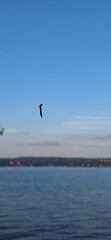 A caterpillar hanging from silk string next to the Hudson river at sunset.